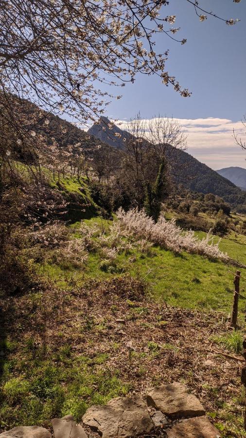 Casa Rural Petricor, Ordesa Vio Экстерьер фото
